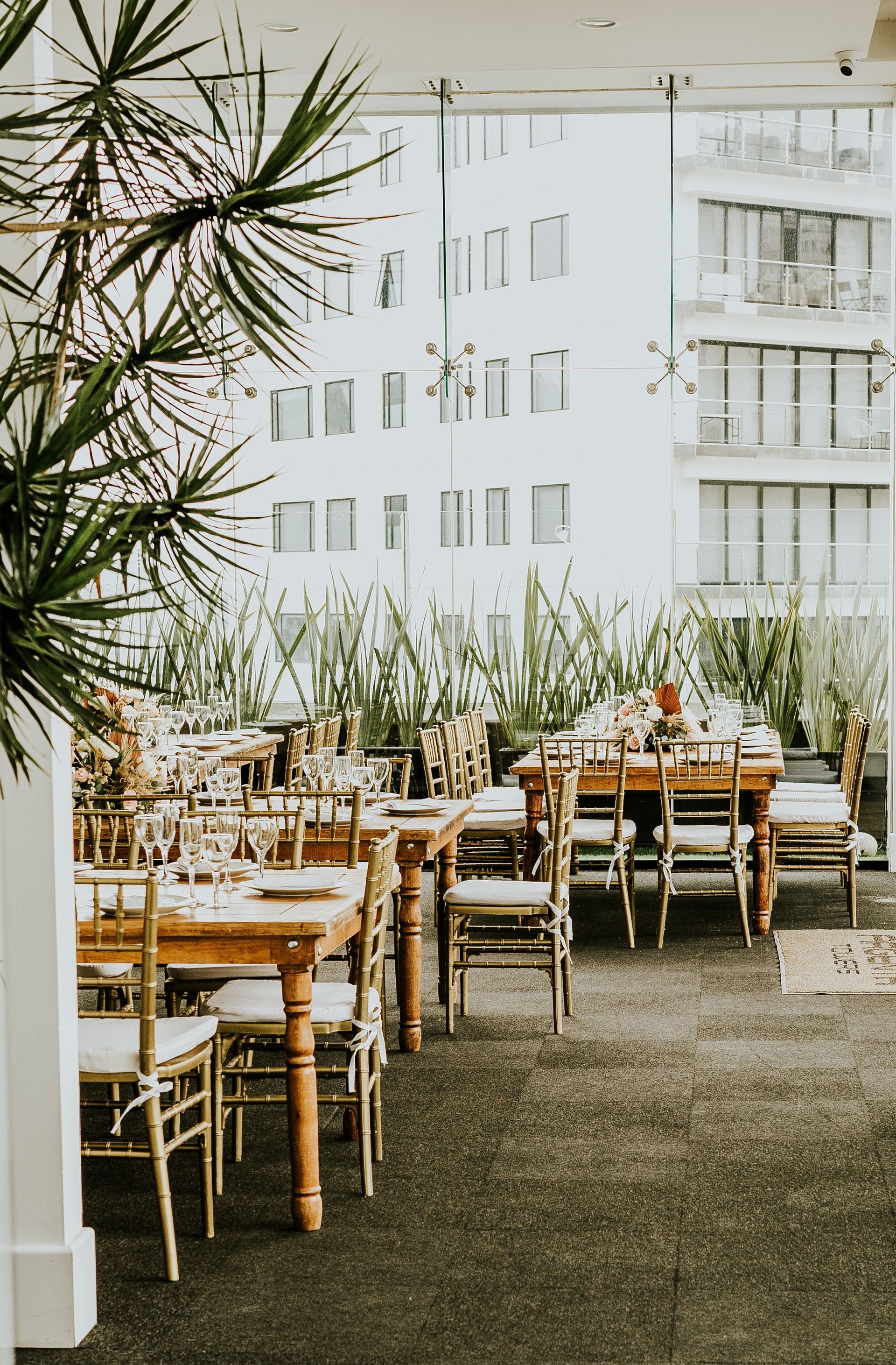 Stylish restaurant terrace setup with wooden chairs and green plants in an urban setting.